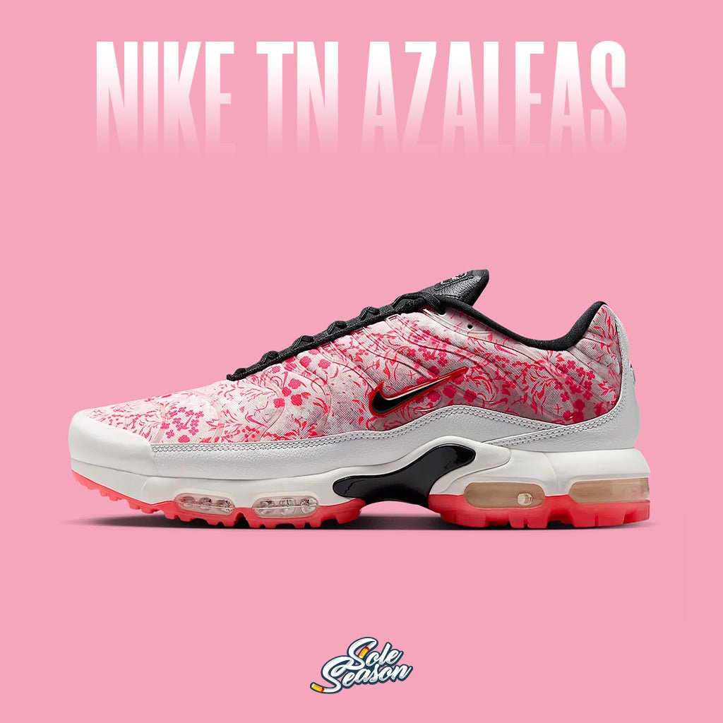Nike TNs in pink