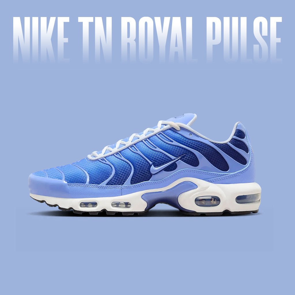 royal blue nike tn