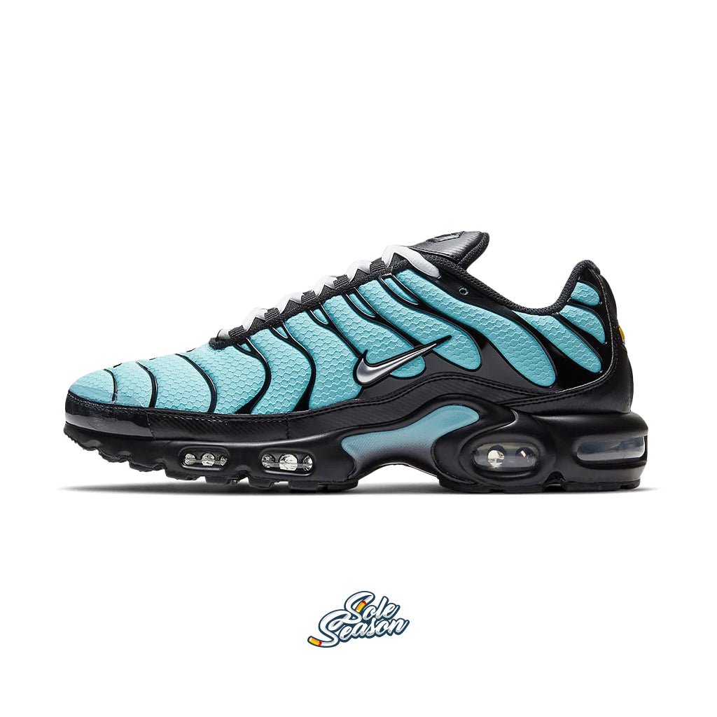 Blue Nike Tn's - soleseason