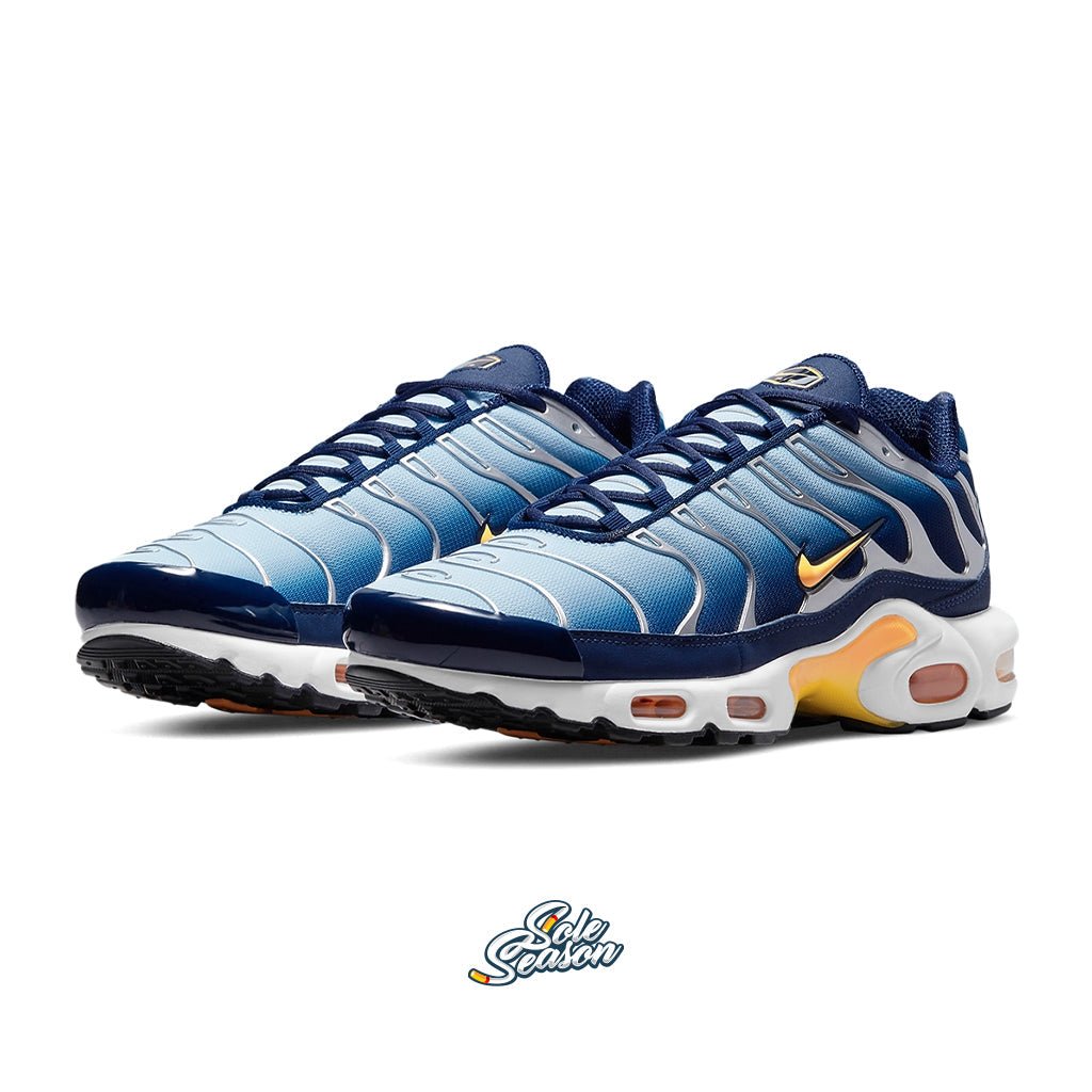 Blue Air Max Shoes