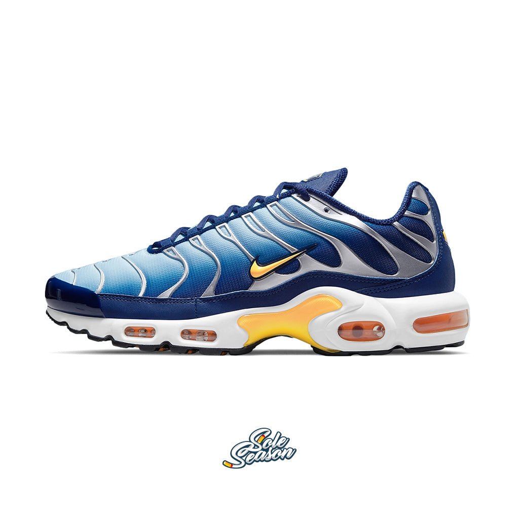 Blue Air Max Shoes