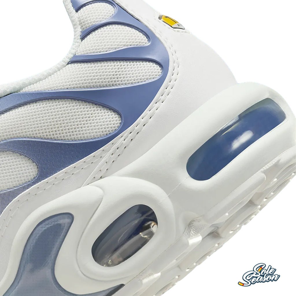 Nike Tn - Ashen Slate White Blue - dz3671-104 bubble