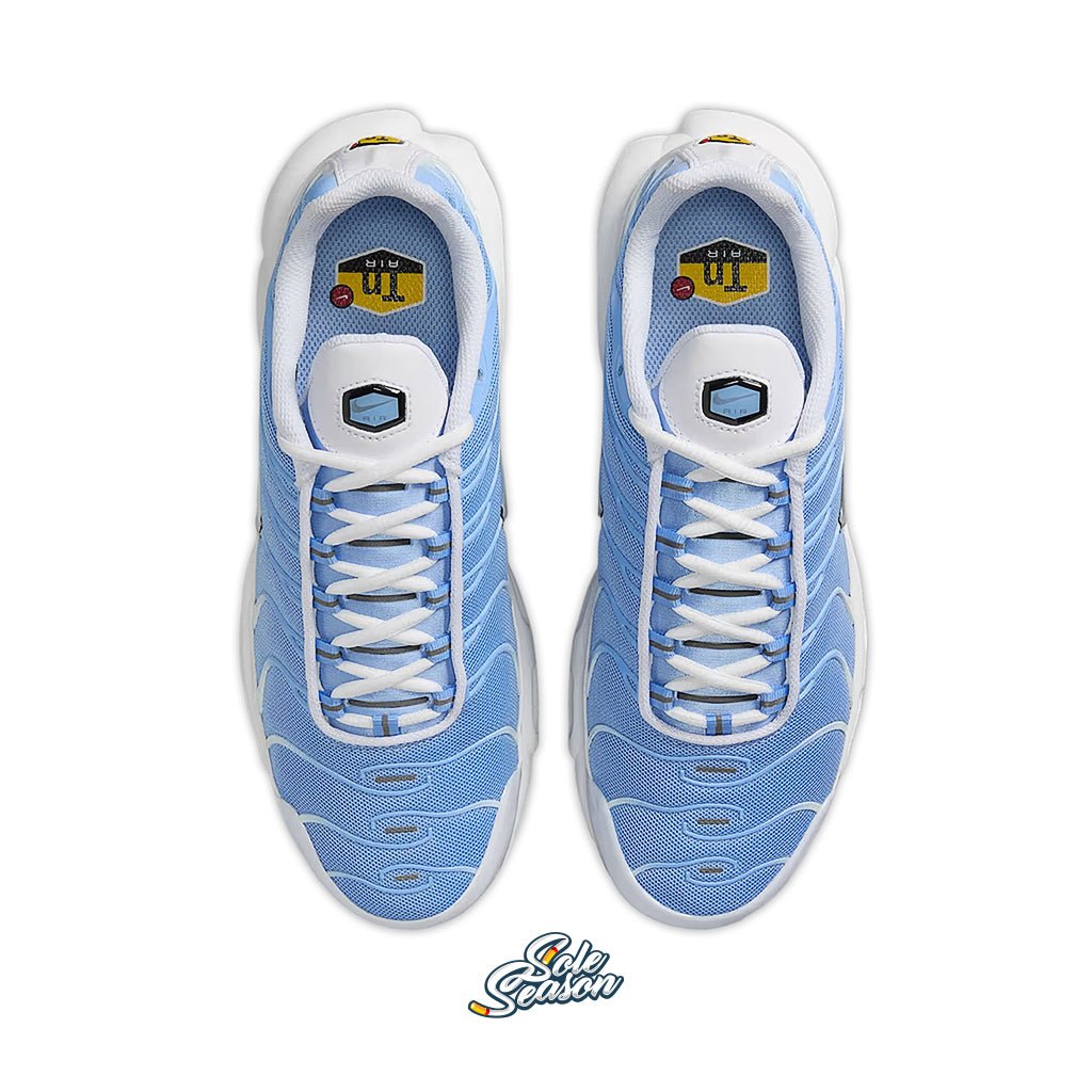 Nike Air Max Plus Baby Blue White – top view of both sneakers