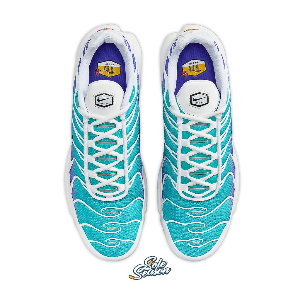 Nike Tn - Bleached Aqua 2.0 - dm0032-102 Aqua top