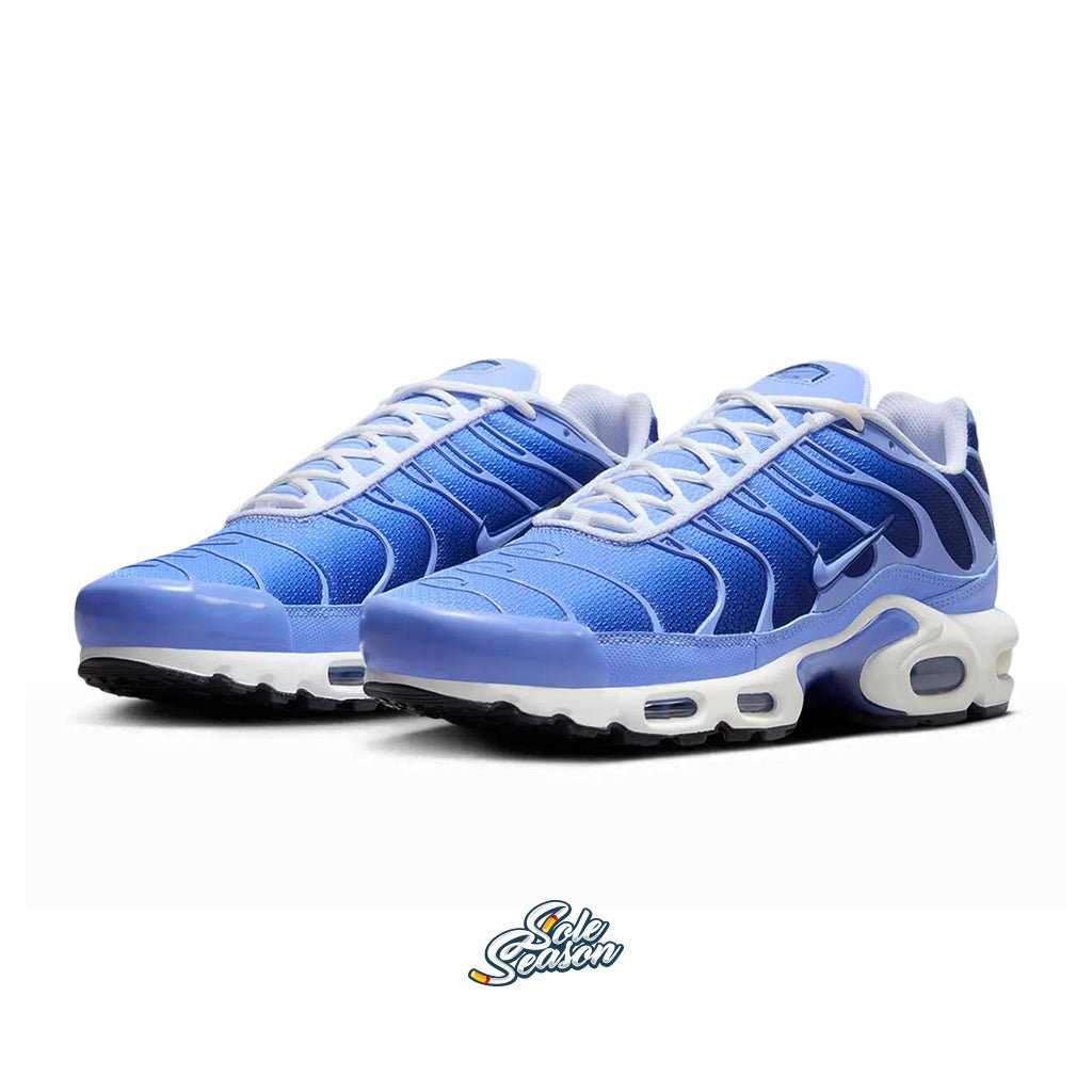 royal blue nike tn