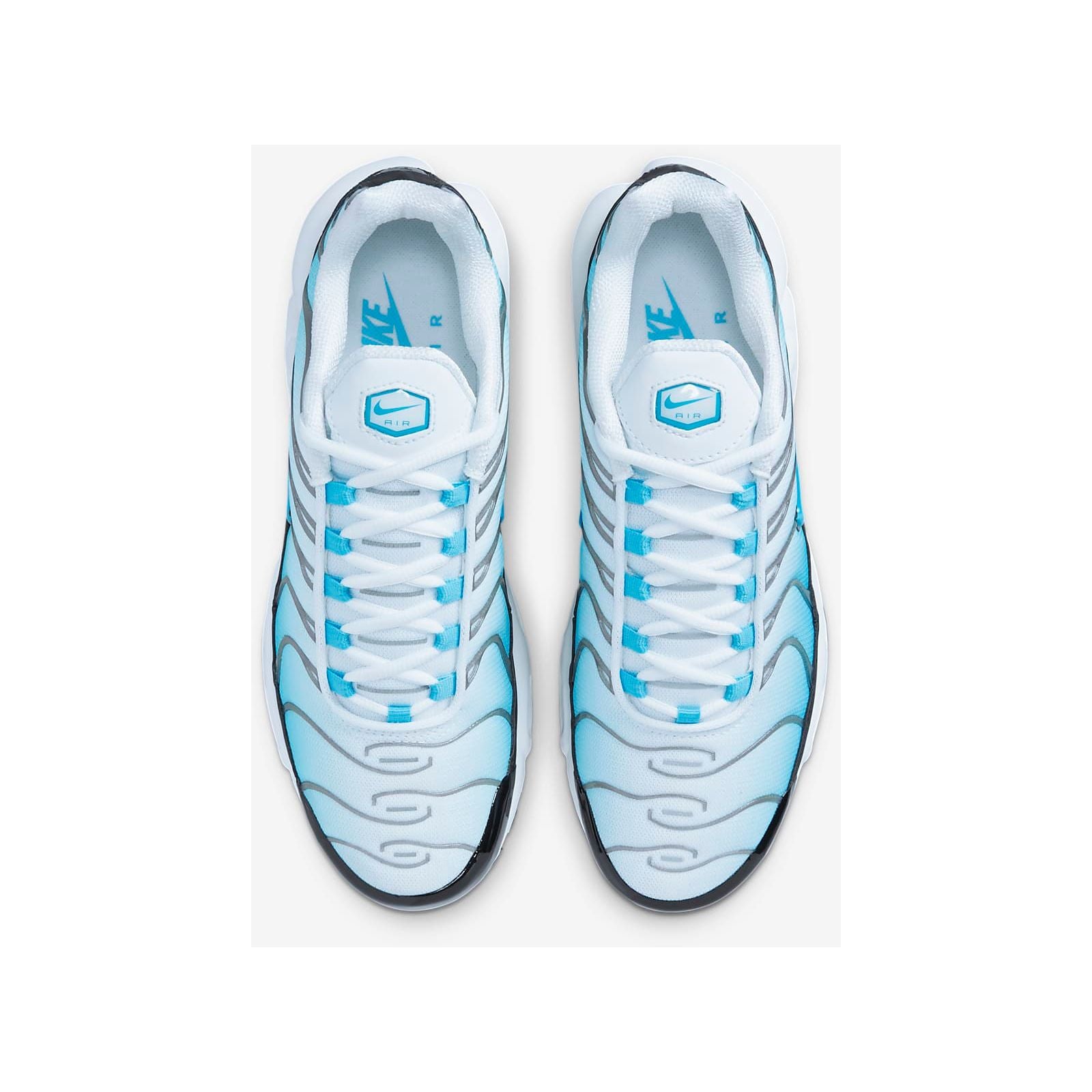 white and blue tn
