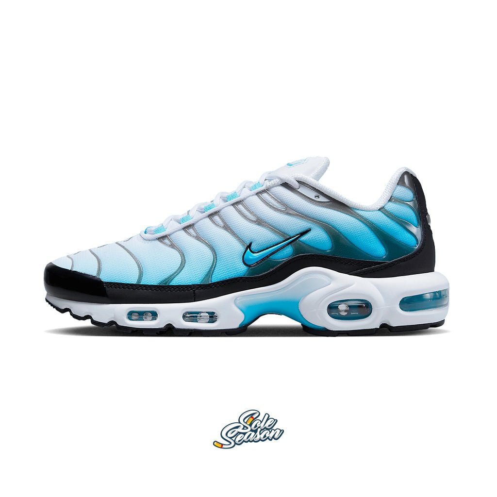 blue and white nike tn