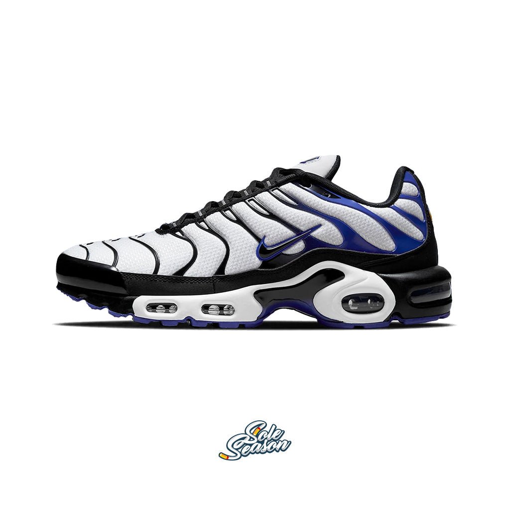 Men's Persian Shoes