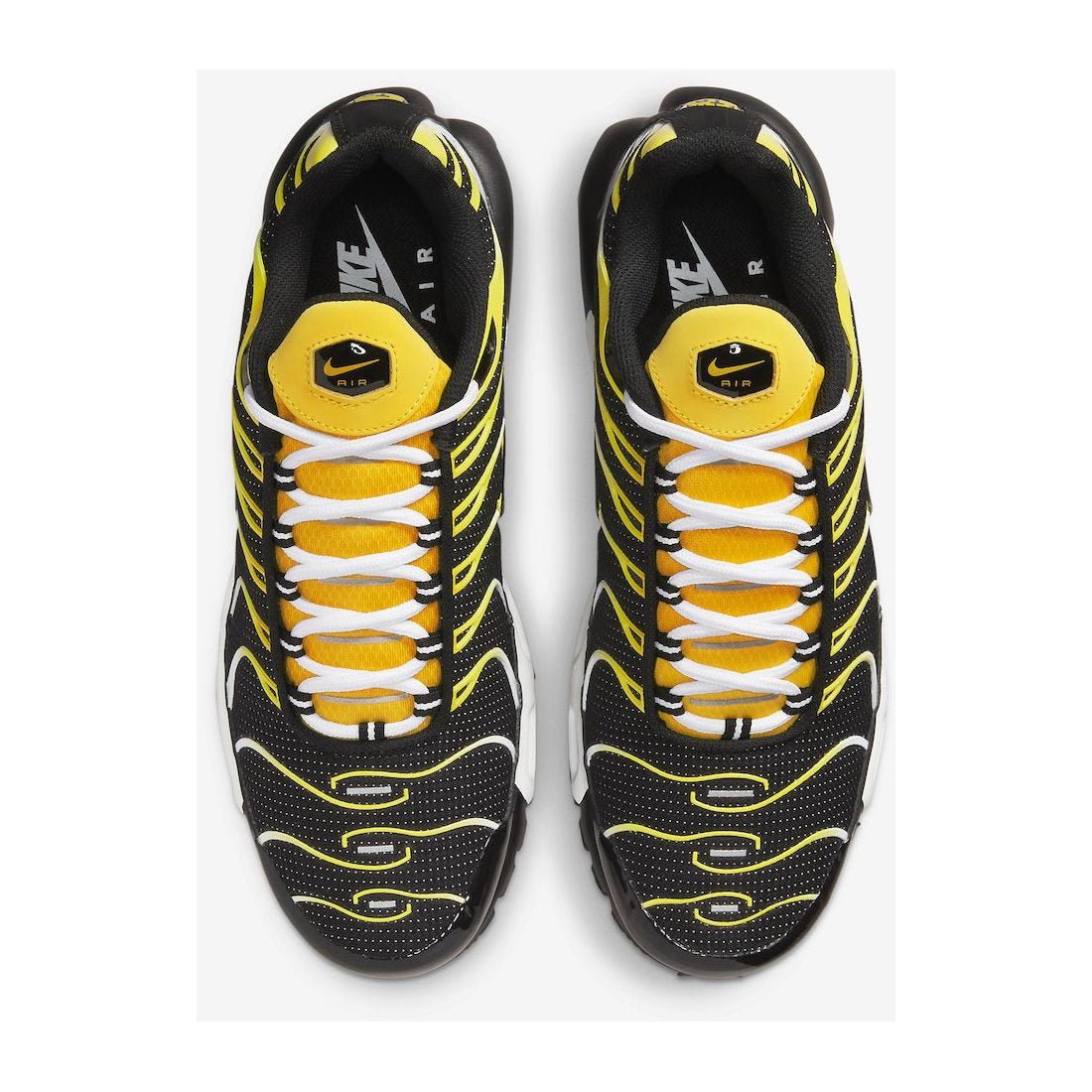 bumble bee tns
