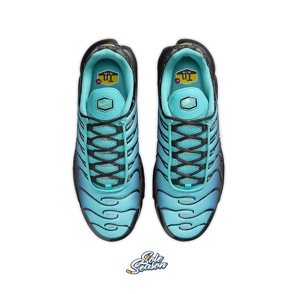 aqua nike tn