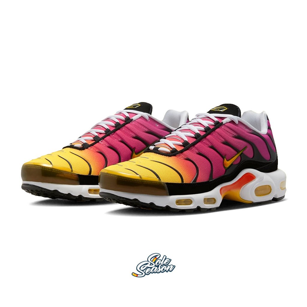 rainbow nike tn