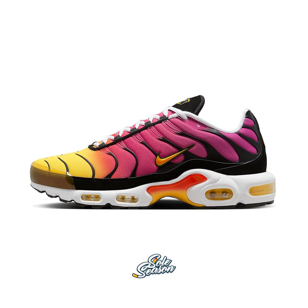 nike tn rainbows