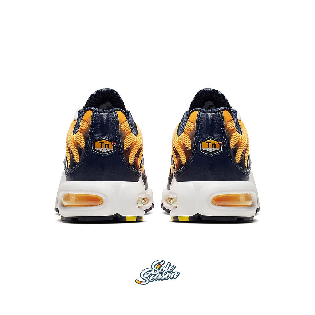 NikeTn-OrangeNavy-aj2013-800-4