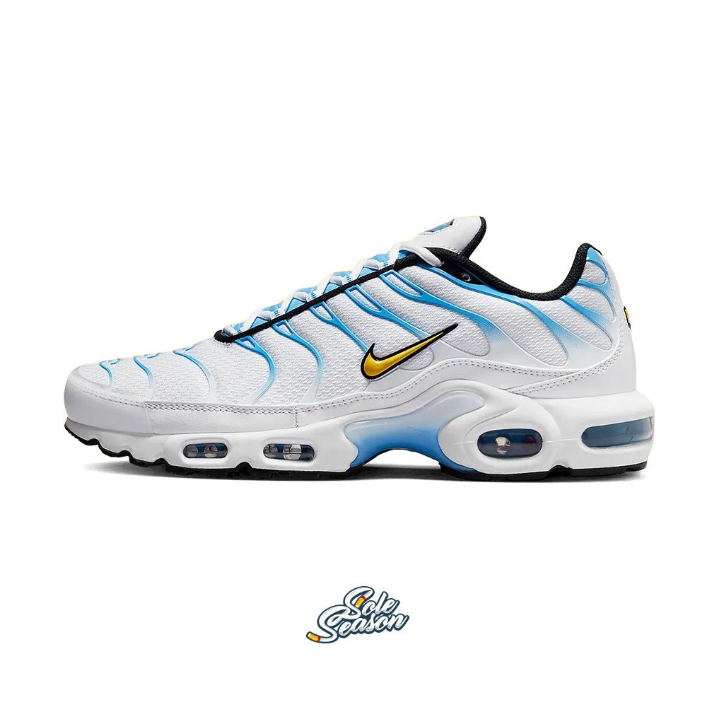 White and Blue Nike TN