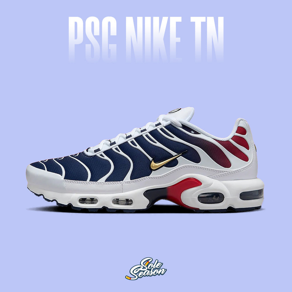 Nike Tn x PSG air max plus collab