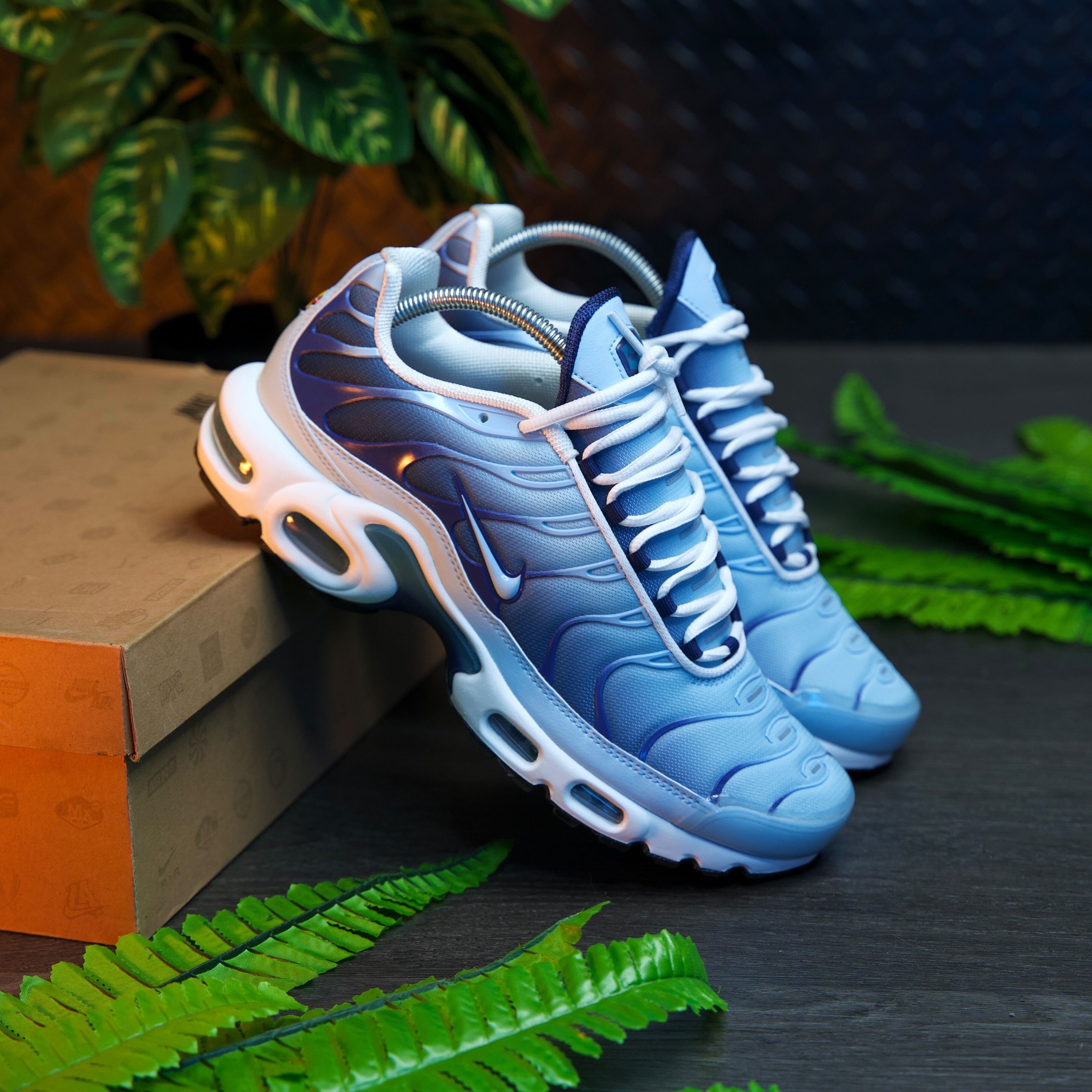 Nike tn se bleu online