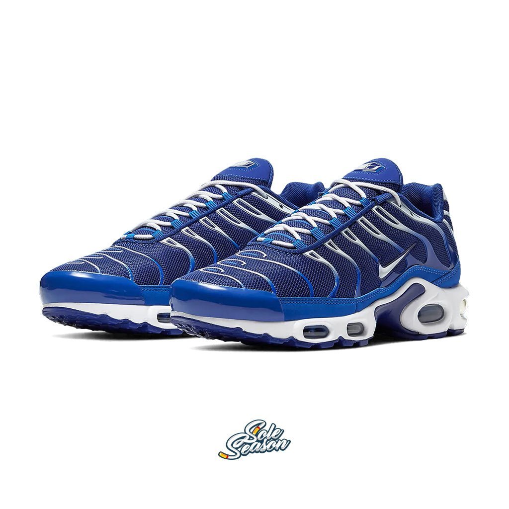 Nike Tn Arctic Chill Blue - CW7024 400