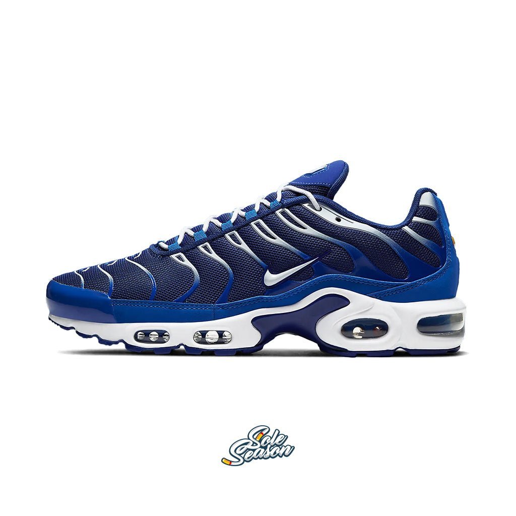 Nike Tn Arctic Chill Blue - CW7024 400 side