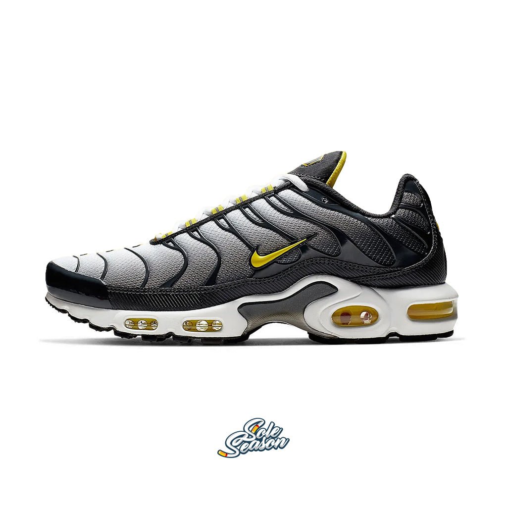 Nike Tn - Bumblebee - Black and yellow ci2299-002 side