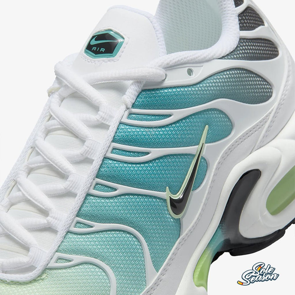 tn dusty cactus