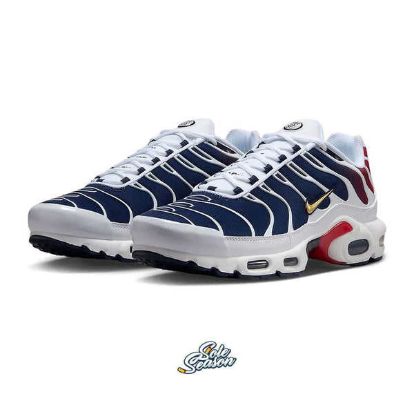 Air max plus psg online