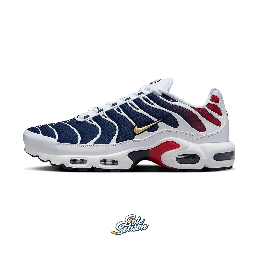 Mike Tn PSG Collab Paris Saint Germain Air Max Plus FZ4776 100