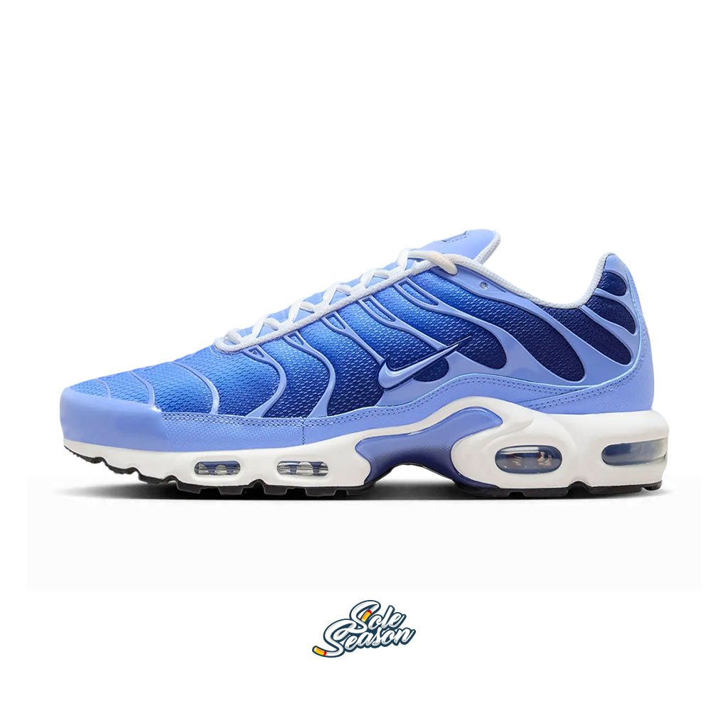 Royal Blue nike tn - blue white nike tn dm0032-403 - side
