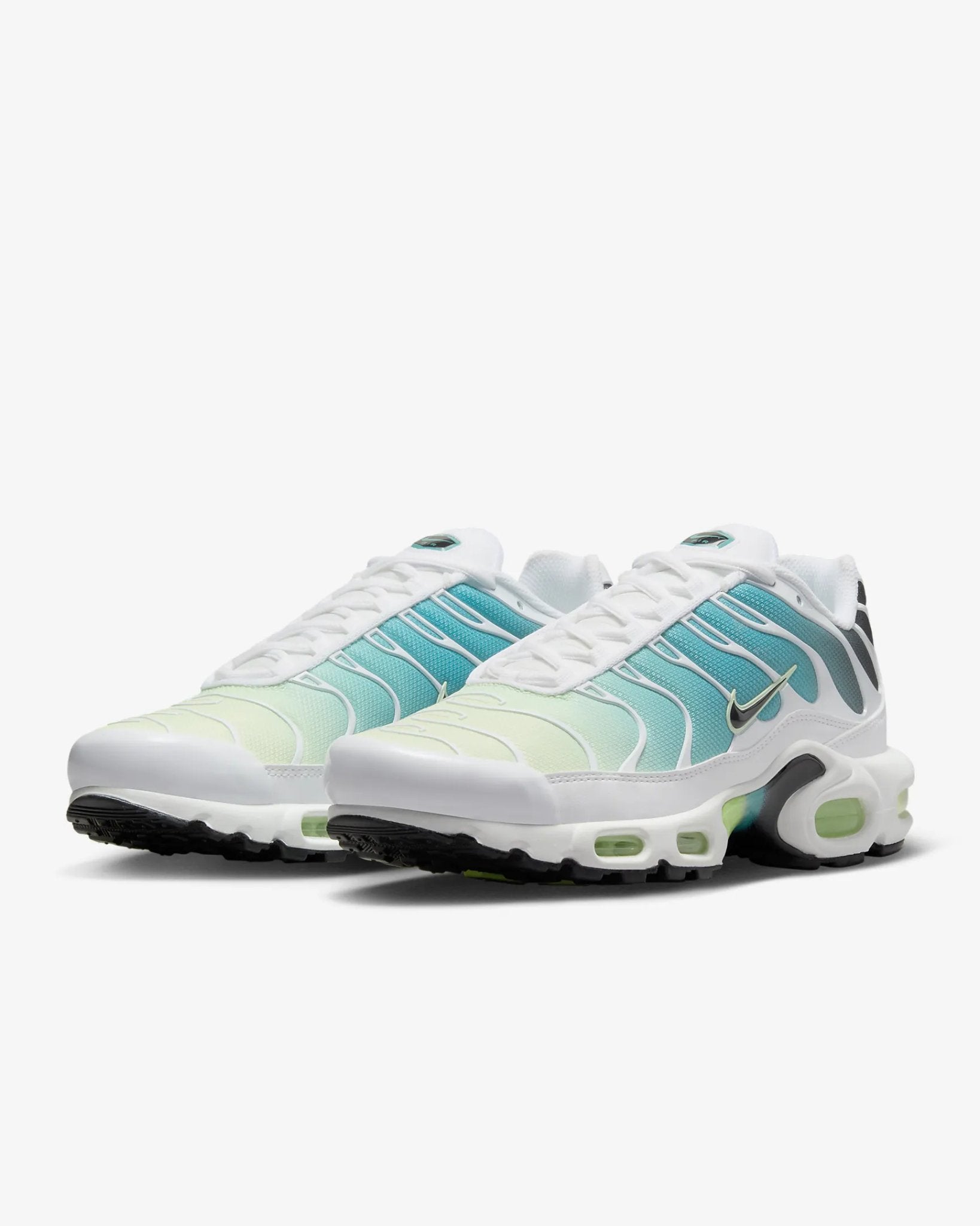 dusty cactus tn