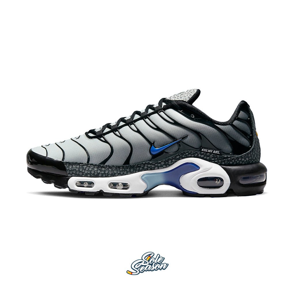 grey and blue nike tn air max plus