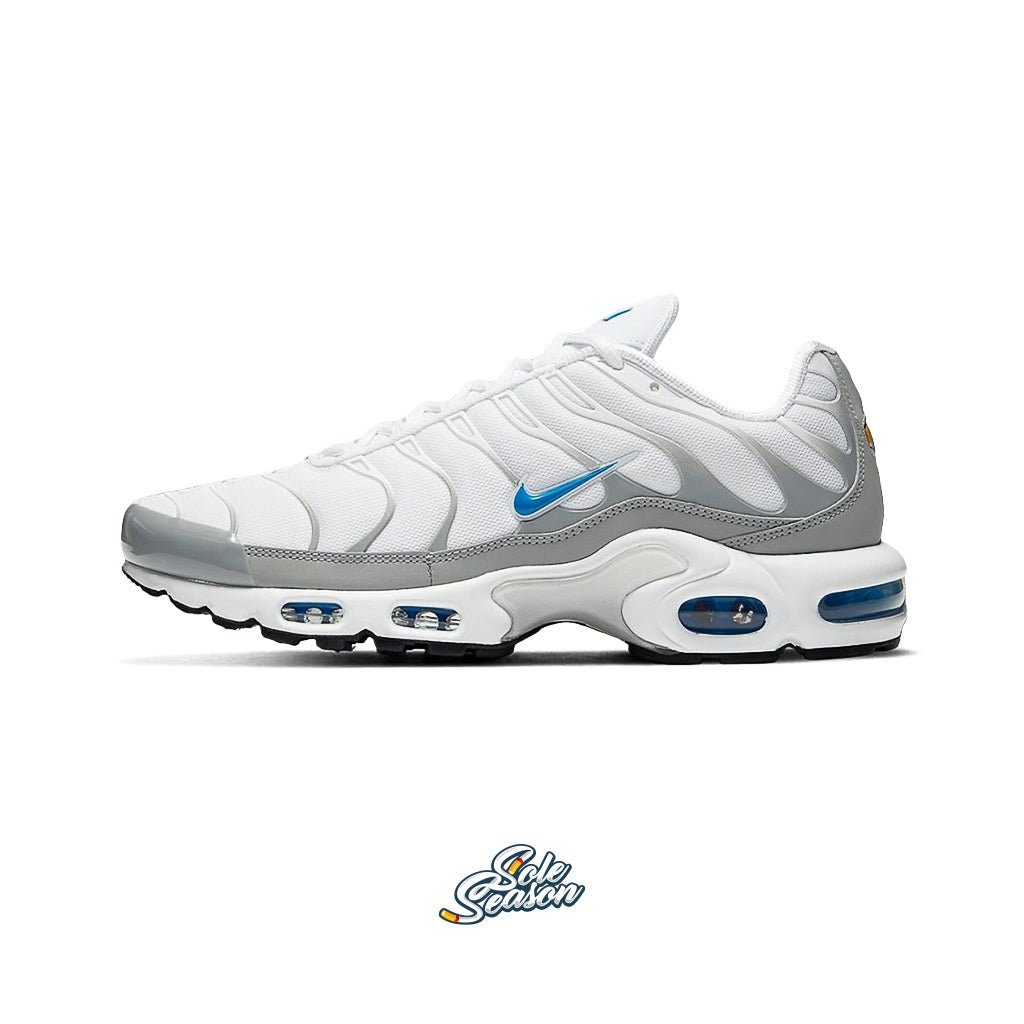 Nike Air Max Plus (TN) Foto Blau-Herren