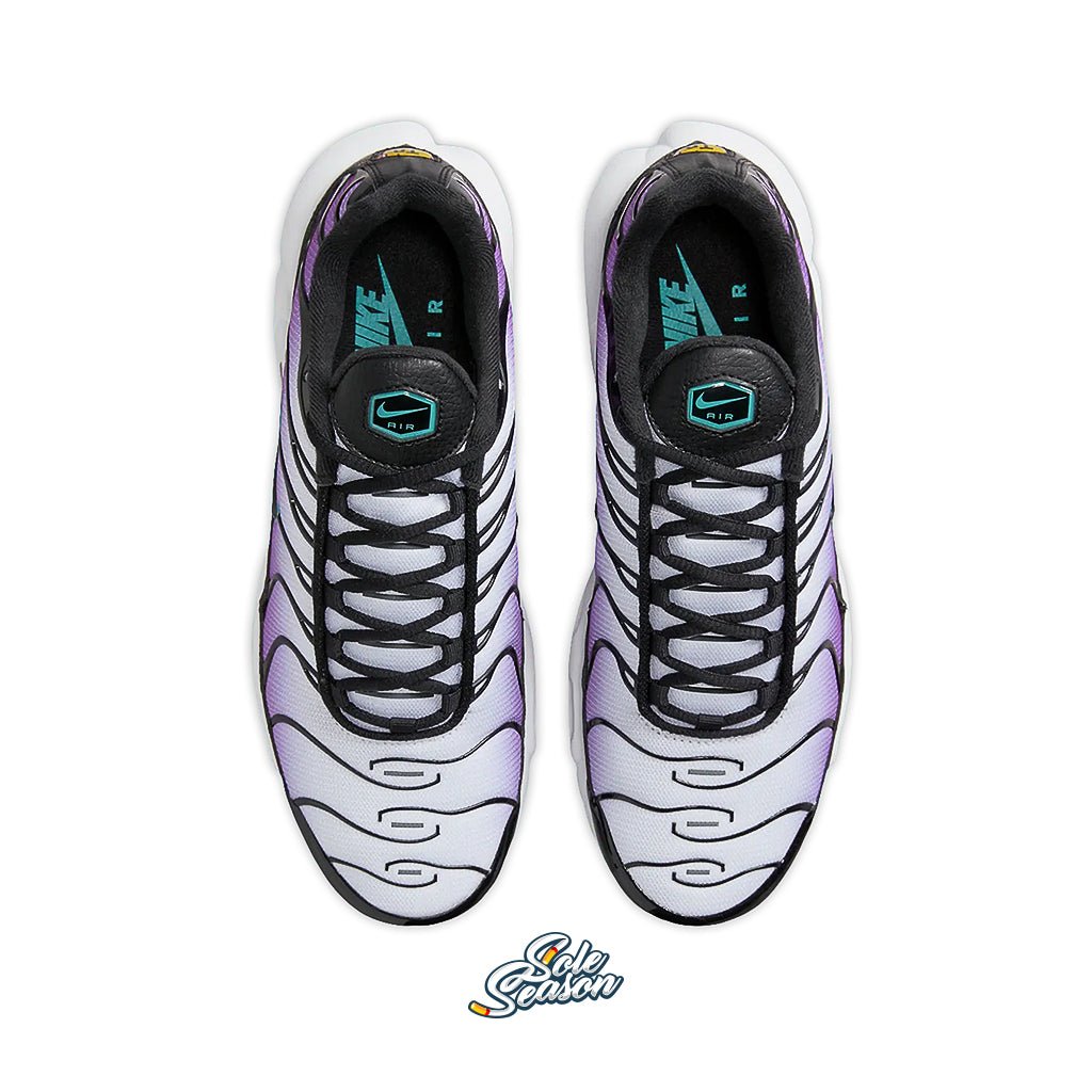 nike tn disco purple teal nebula fq2415-500  top