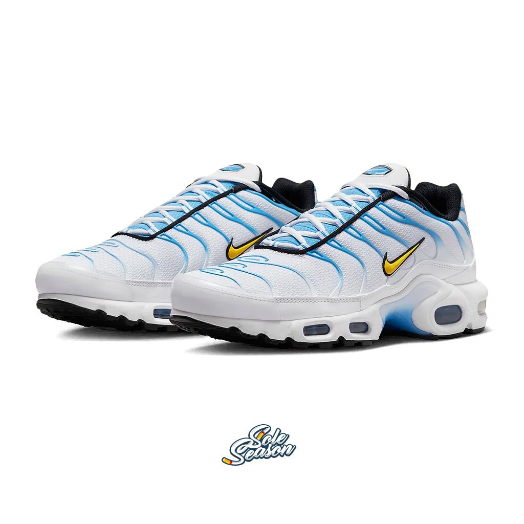 Blue White Nike TN