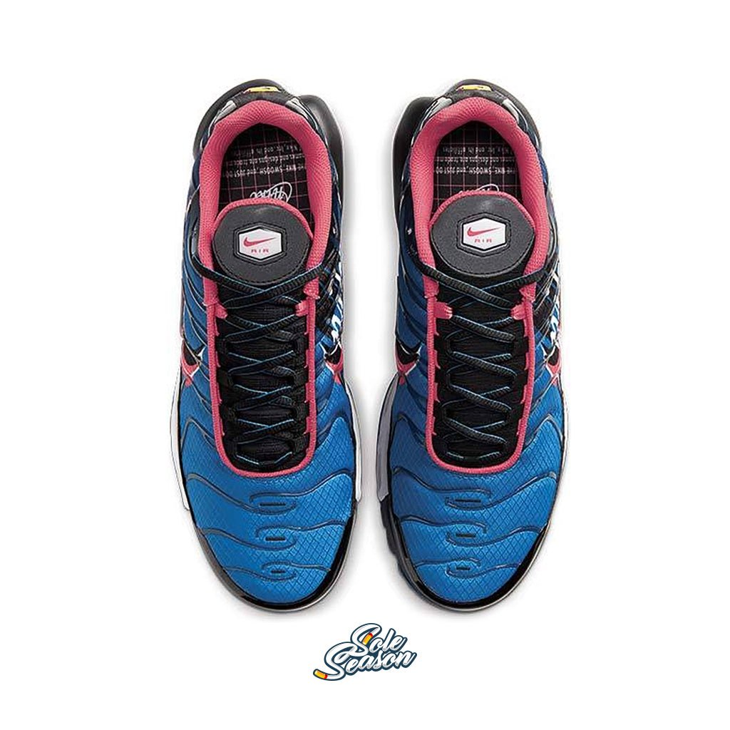 blue and pink air max plus