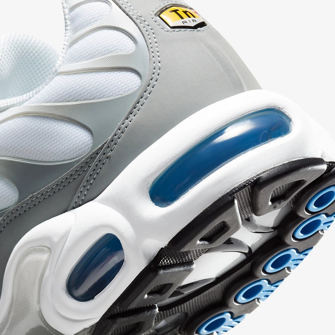 Nike Air Max Plus (TN) Foto Blau-Herren